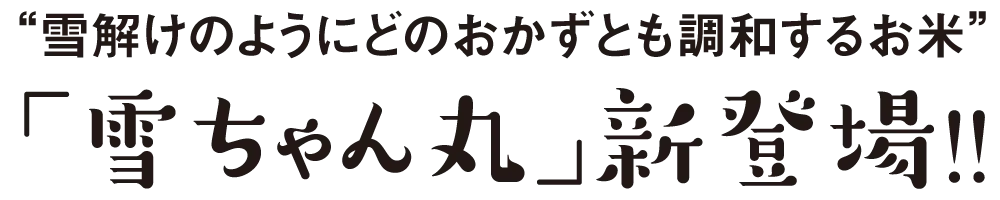 熊本　銀シャリ亭　おいしいお米「雪ちゃん丸」